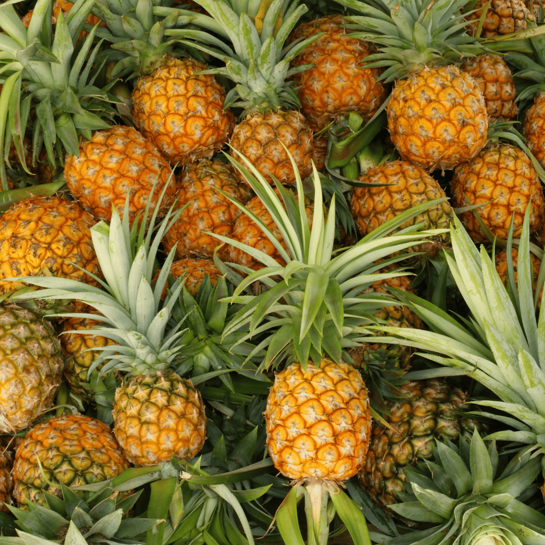 PIÑA ORO MIEL