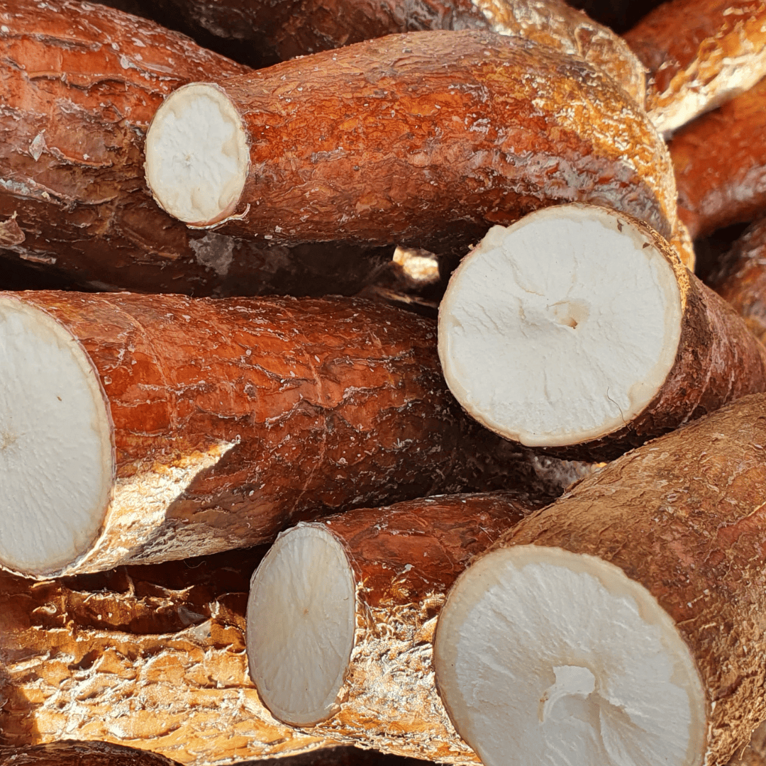 YUCA